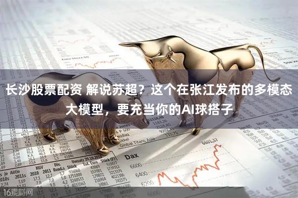 长沙股票配资 解说苏超？这个在张江发布的多模态大模型，要充当你的AI球搭子