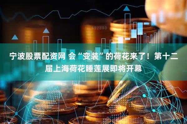 宁波股票配资网 会“变装”的荷花来了！第十二届上海荷花睡莲展即将开幕