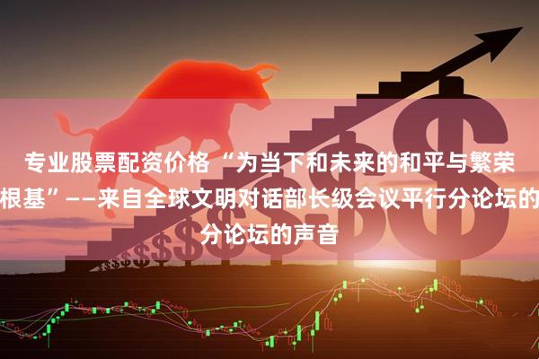 专业股票配资价格 “为当下和未来的和平与繁荣筑牢根基”——来自全球文明对话部长级会议平行分论坛的声音