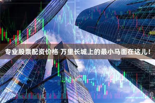 专业股票配资价格 万里长城上的最小马面在这儿！