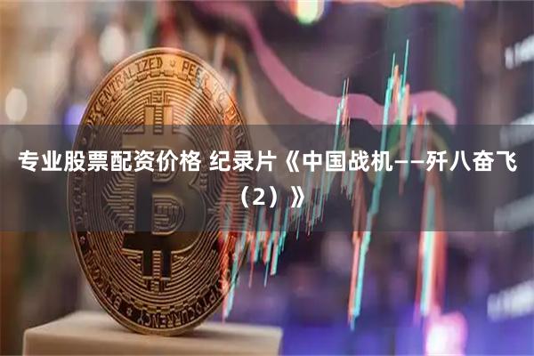专业股票配资价格 纪录片《中国战机——歼八奋飞（2）》